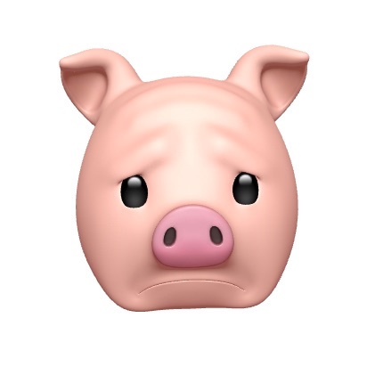 Pig Sad Animoji