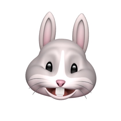 Rabbit Happy Animoji